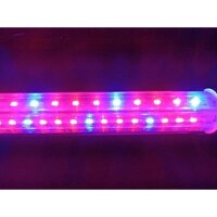 Đèn Led trồng rau, thực vật  T8 18w 36w 220v 1.2m chip led 2835