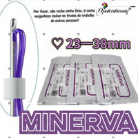 Đèn LED Tường 2025 Battle Bivolt 9w pdo 3000K ❈1.6x60cm Đèn Lồng Vàng SKY-3124AR