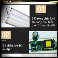 ĐÈN LED TUÝP BÁN NGUYỆT 1.2m - 40W