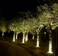 Đèn LED Vòng Tròn Gốc Cây Xanh ZRCIOT Module M12