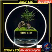 ĐÈN LED VÒNG TRÒN THỦY SINH - ĐÈN LED BỂ CÁ SIÊU ĐẸP