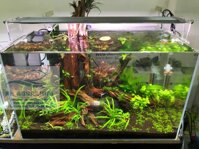 ĐÈN LED WEEK RAPTOR RGB D90CM