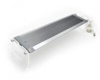 Đèn Led WEEK RAPTOR RGB