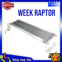 Đèn LED WEEK RAPTOR WRGB V450 V800 V900
