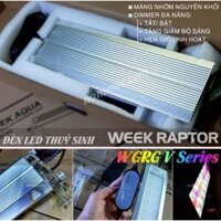 Đèn LED WEEK RAPTOR WRGB V450, V600, V900, V1200.