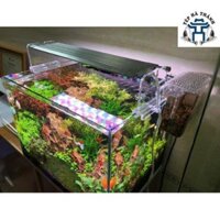 Đèn LED WEEK RAPTOR WRGB V1200