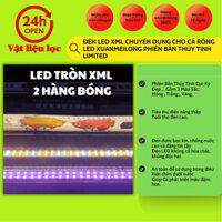 Đèn Led XML Chuyên Dụng Cho Cá Rồng - Led Xuanmeilong Phiên Bản Thủy Tinh Limited
