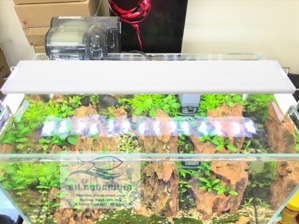 Đèn led Xuanmeilong XML-40