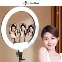 Đèn live Ringled 56 kèm + Chân Đèn + Kẹp Điện Thoại Chính Hãng