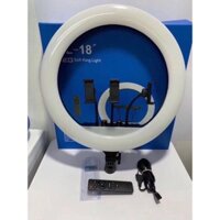 Đèn live stream 45cm RL-18