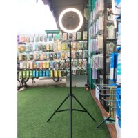 đèn livestream 26cm