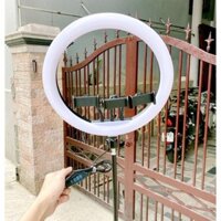 Đèn Livestream 36cm,3 Chân Kẹp Điện Thoại, Gậy 2,1 Mét, Trợ Sáng Live Tream, Quay Tiktok, Spa, Studio