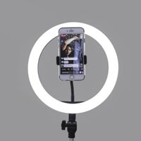 Đèn livestream RL-21 Size 26cm Giá siêu rẻ