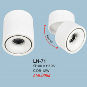 Đèn lon LN-71