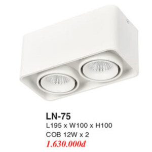 Đèn lon LN-75