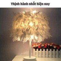 Đèn lông vũ sang chảnh hot hi