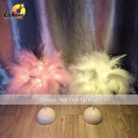 Đèn Lông Vũ Trang Trí và chụp hình Tiệc Cưới hoặc Phòng Ngủ Lãng Mạn (Có sẵn)