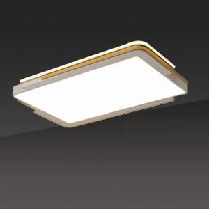 Đèn mâm áp trần LED L1100mm DC20-OT75CN