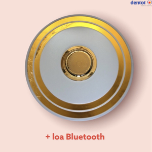 Đèn mâm áp trần MSS-655