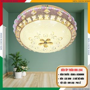Đèn mâm led NM244
