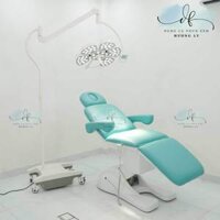 Đèn mổ treo trần, treo tường hoặc di động 5 cánh hoa