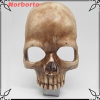 Đèn ngủ đầu lâu NORBORTO Halloween, phích cắm bằng nhựa US / phích cắm EU Đèn ngủ đầu lâu Gothic, Nút quà tặng Công tắc đèn điều khiển Phòng ngủ