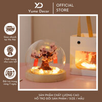 Đèn Ngủ Handmade Cây Hoa Anh Đào Nhật DIY Dạ Quang - Trang Trí Tết, Phòng Ngủ, Bàn Học, Bàn Làm Việc - Làm Quà Tặng