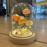 Đèn ngủ handmade thủy cung sứa biển handmade – Kiệt tác của một đại dương thu nhỏ nằm gọn trong phòng bạn