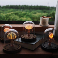 Đèn ngủ Handmade vỏ ốc xà cừ nhím biển, đèn làm quà tặng sinh nhật