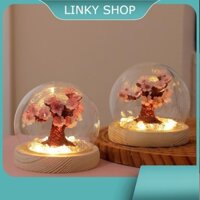 Đèn ngủ hoa anh đào tặng kèm túi quà sang trọng DIY chạy PIN, Đèn ngủ cây ước nguyện, Quà tặng cao cấp các dịp đặc biệt