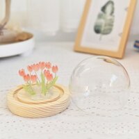 Đèn ngủ sáng tạo bóng thủy tinh hoa tulip trang trí nhà quà tặng cho bạn gái quà sáng tạo ánh sáng xung quanh