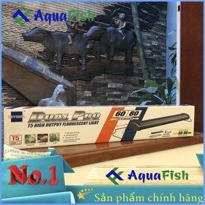 Đèn Odyssea T5HO 60cm