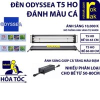 Đèn ODYSSEA T5HO DUAL PRO 2 Bóng (50-65 60-80 cm) cho thủy sinh Ánh Sáng 10000K giúp tăng màu cá