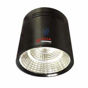 Đèn ống bơ rọi ốp trần 10W ASIA OBD