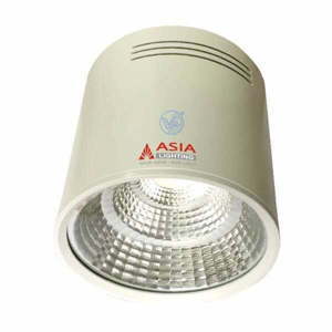 Đèn ống bơ rọi ốp trần 10W ASIA OBT