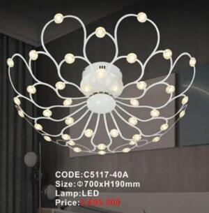 Đèn ốp trần C5117-40A