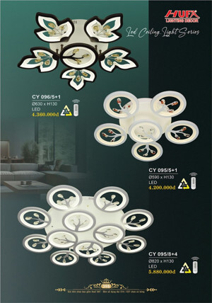 Đèn ốp trần CY 096/5+1