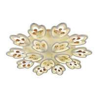 Đèn Ốp Trần CY 3640/10+5