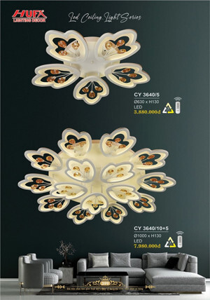 Đèn ốp trần CY 3640/5