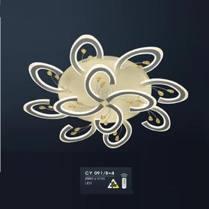 Đèn ốp trần CY091/8+4