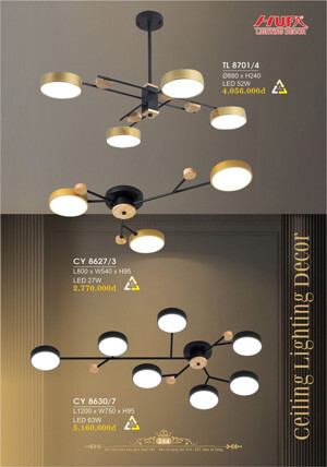Đèn ốp trần CY8627/3