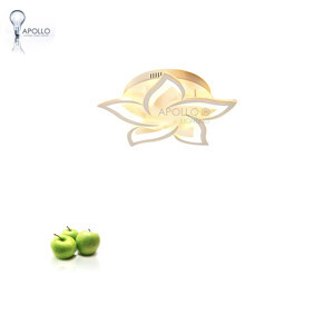 Đèn ốp trần Hoa Sứ DOTHD 6863A