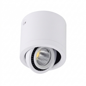Đèn ốp trần Hufa LN-01