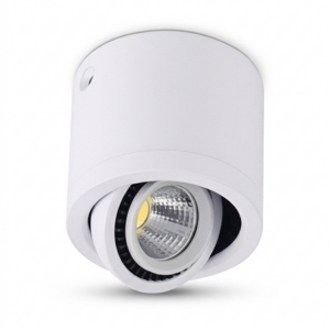Đèn ốp trần Hufa LN-02