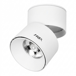 Đèn ốp trần Hufa LN-39