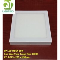 Đèn ốp trần led 18w lắp nổi QTlighting