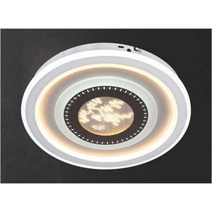 Đèn ốp trần Led NC 2311