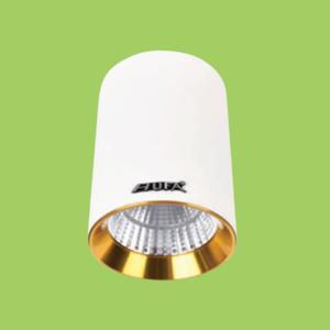 Đèn ốp trần Hufa LN-19