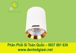 Đèn ốp trần Hufa LN-19