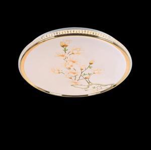 Đèn ốp trần MSS-677